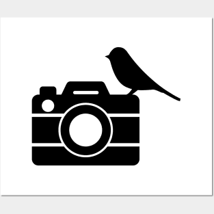 Bird on camera! Posters and Art